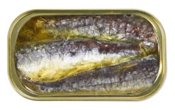 Sardinen in Olivenöl