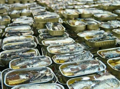 Sardinen in scharfem Olivenöl