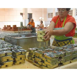 Sardinen in scharfer Tomatensauce