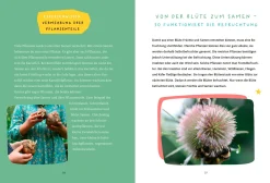 Schau mal, was da wächst