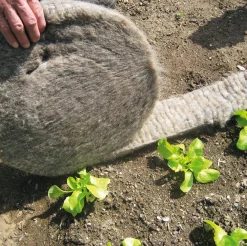 Schneckenbarriere Schafwolle