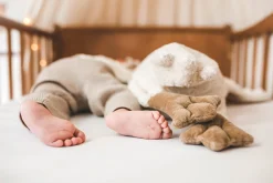 Senger Gans Wärmekissen