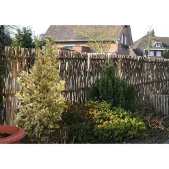 Sichtschutz Haselnussholz