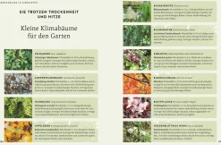 So wird der Garten fit fürs Klima