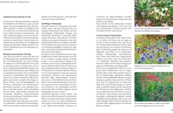 So wird der Garten fit fürs Klima