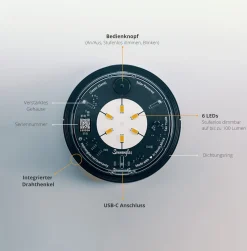 Solarmodul SOMO Classic