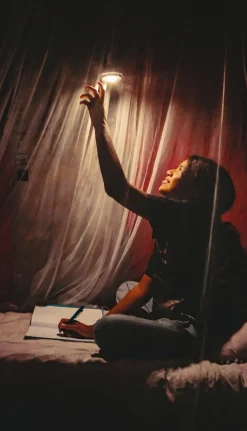 Solarmodul SOMO Classic