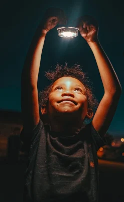 Solarmodul SOMO Classic