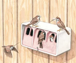 Sperlingskoloniehaus Holzbeton