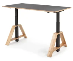 Steh-Sitz-Arbeitstisch Esche und Linoleum