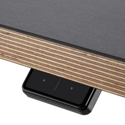 Steh-Sitz-Arbeitstisch Esche und Linoleum