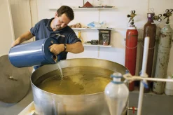 Summerdown Englische Minzcremepralinen