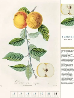 Thorbecke Apfel-Kalender 2026