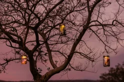 Tischleuchte Sonnenglas®