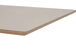 Tischplatte zu Tischgestell Zehdenicker