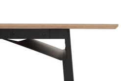 Tischplatte zu Tischgestell Zehdenicker