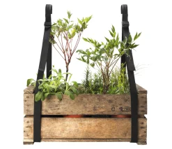 Tragegurt Balkonkiste