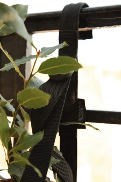 Tragegurt Balkonkiste