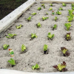 Unkrautschutzmatte Schafwolle