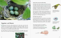 Unserer Natur auf der Spur