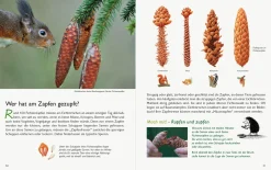 Unserer Natur auf der Spur