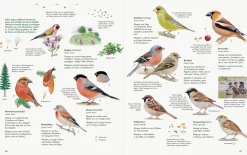 Unserer Natur auf der Spur