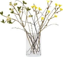 Vase Glas zylinderförmig