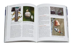 Vögel füttern, aber richtig