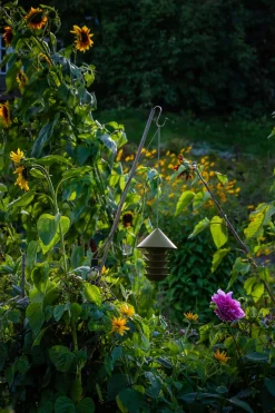 Vogelfutterspender Bird Silo
