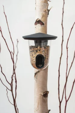 Vogelfutterspender FeedR