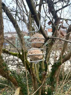 Vogelknödelhalter Spirale