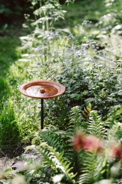 Vogeltränke auf Stab