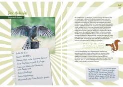 Waldabenteuer für die ganze Familie