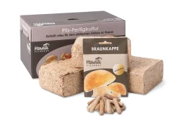 Waldpilzbrut 'Braunkappe'