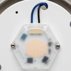 Wand- und Deckenleuchte Zylinder LED