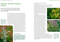 Wächst nicht gibt's nicht