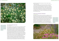 Wächst nicht gibt's nicht