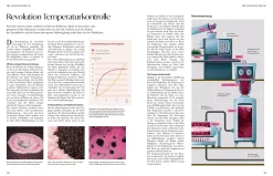 Wein – Die große Schule