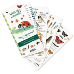 Wer hat am Zapfen gezupft?