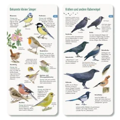 Wer hat am Zapfen gezupft?