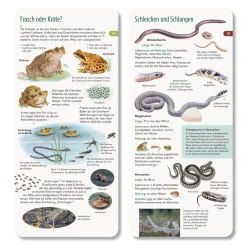 Wer hat am Zapfen gezupft?