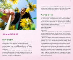 Wild und wunderbar: die 13 besten Wildkräuter