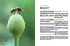Wildbienenhelfer