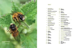 Wildbienenhelfer