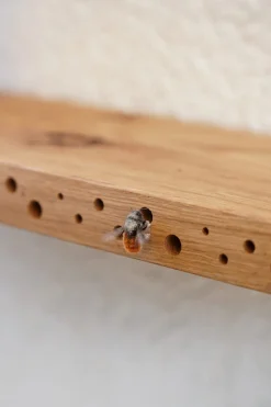 Wildbienennistplatz Regal