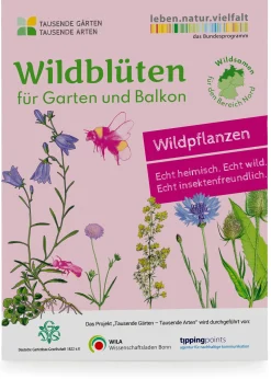 Wildblumen für Balkon und Garten gebietsheimisch