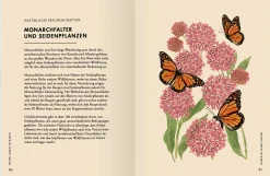 Wildblumen pflanzen - Nektarreiche Blüten für hübsche Nützlinge