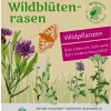 Wildblumenrasen gebietsheimisch