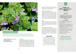 Wilde Ernte aus dem Wald