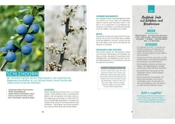 Wilde Ernte aus dem Wald